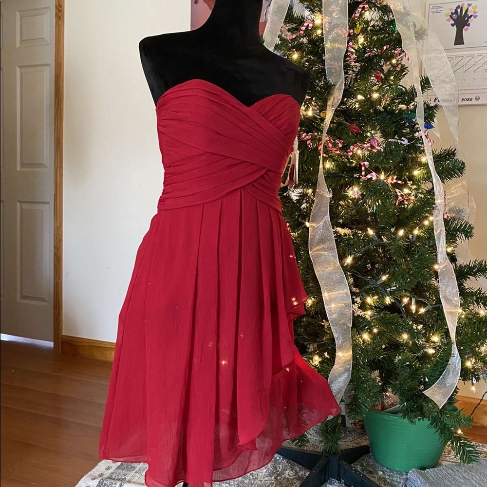 Apple red David’s Bridal Dress